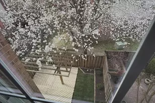 7753 Shootingstar Dr, Springfield, VA 22152 - Photo 60