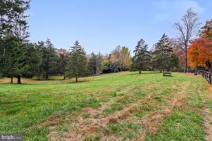 11208 W Montpelier Rd, Great Falls, VA 22066 - Photo 68