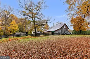 11208 W Montpelier Rd, Great Falls, VA 22066 - Photo 66