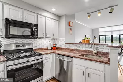 4480 Market Commons Drive #412, Fairfax, VA 22033 - Photo 4