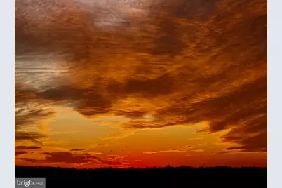 5901 Mount Eagle Drive #1105, Alexandria, VA 22303 - Photo 10