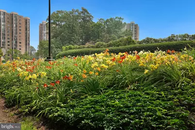 5901 Mount Eagle Drive #1105, Alexandria, VA 22303 - Photo 84