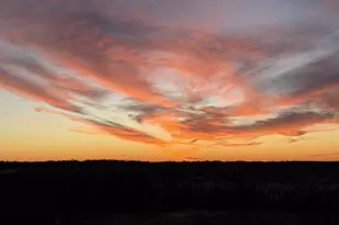 5901 Mt Eagle Dr, Alexandria, VA 22303 - Photo 10