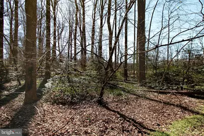 12415 Caisson Road, Fairfax, VA 22030 - Photo 10