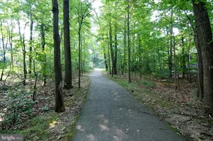 11719 Dry River Ct, Reston, VA 20191 - Photo 40