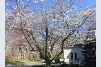 513 Springvale Road, Great Falls, VA 22066 - Photo 90