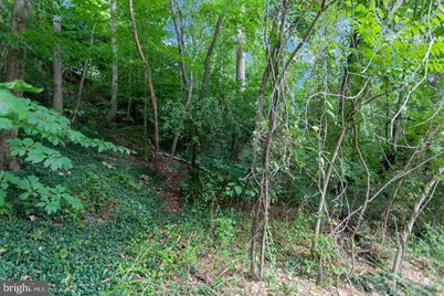 9005 Backlick Road, Fort Belvoir, VA 22060 - Photo 18