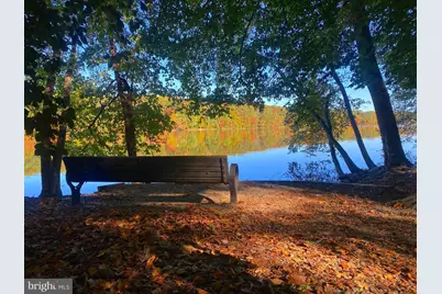 7013 Galgate Drive, Springfield, VA 22152 - Photo 48