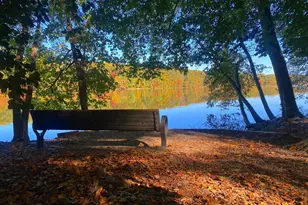 7013 Galgate Dr, Springfield, VA 22152 - Photo 48