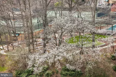 5903 Mount Eagle Drive #911, Alexandria, VA 22303 - Photo 6