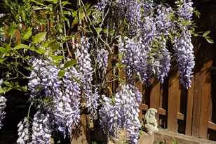 6543 Tartan Vista Dr, Alexandria, VA 22312 - Photo 40