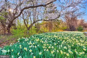 11405 Northwind Ct, Reston, VA 20194 - Photo 50