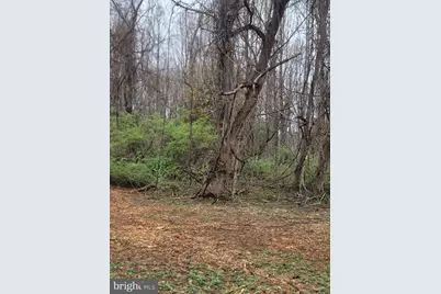 Winfield Dr, Fairfax, VA 22030 - Photo 6