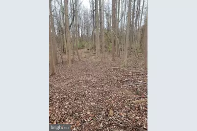 Winfield Dr, Fairfax, VA 22030 - Photo 10