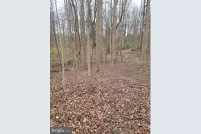 Winfield Dr, Fairfax, VA 22030 - Photo 8