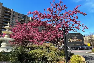 8370 Greensboro Dr, McLean, VA 22102 - Photo 46