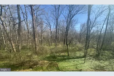 3311 Mantua Drive, Fairfax, VA 22031 - Photo 2