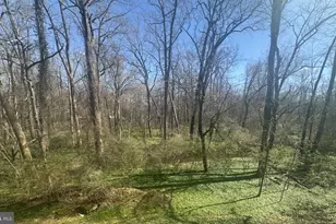 3311 Mantua Dr, Fairfax, VA 22031 - Photo 2