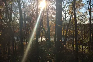 7961 Yancey Dr, Falls Church, VA 22042 - Photo 10