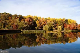 7961 Yancey Dr, Falls Church, VA 22042 - Photo 18