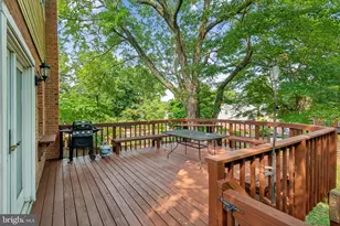 5835 Fifer Dr, Alexandria, VA 22303 - Photo 14