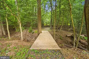 11906 Paradise Ln, Oak Hill, VA 20171 - Photo 56