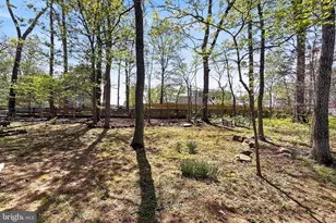 15117 Philip Lee Rd, Chantilly, VA 20151 - Photo 78