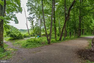 8213 Clifton Farm Ct, Alexandria, VA 22306 - Photo 62