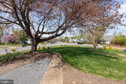 6801 Duke Drive, Alexandria, VA 22307 - Photo 48