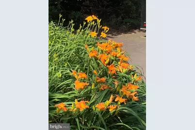 9605 Bronte Drive, Fairfax, VA 22032 - Photo 72