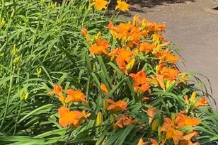 9605 Bronte Dr, Fairfax, VA 22032 - Photo 72