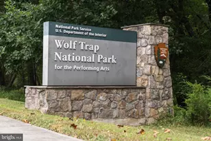 9424 Brian Jac Ln, Great Falls, VA 22066 - Photo 102