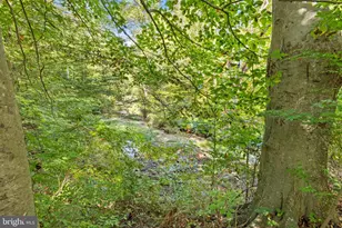 6501 Orono Ct, Springfield, VA 22152 - Photo 42