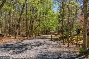 9201 Weant Dr, Great Falls, VA 22066 - Photo 68