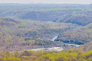 9201 Weant Dr, Great Falls, VA 22066 - Photo 22