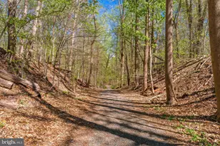 9201 Weant Dr, Great Falls, VA 22066 - Photo 66