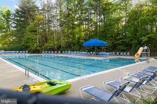 11163 Lake Chapel Ln, Reston, VA 20191 - Photo 104