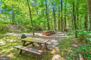 5902 Mt Eagle Dr, Alexandria, VA 22303 - Photo 74