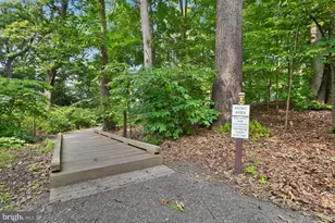 5902 Mt Eagle Dr, Alexandria, VA 22303 - Photo 86