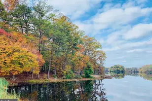 5422 Long Boat Ct, Fairfax, VA 22032 - Photo 84