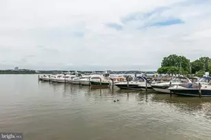 8503 W Boulevard Dr, Alexandria, VA 22308 - Photo 80