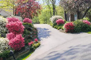 5006 Pheasant Ridge Rd, Fairfax, VA 22030 - Photo 56