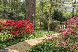 6451 Queen Anne Terrace, Falls Church, VA 22044 - Photo 52