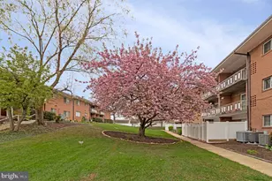 5613 Franconia Rd, Alexandria, VA 22310 - Photo 24