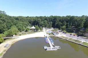 8503 Forrester Blvd, Springfield, VA 22152 - Photo 54