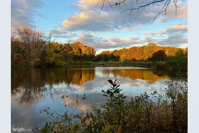 13132 Thornapple Place, Herndon, VA 20171 - Photo 78