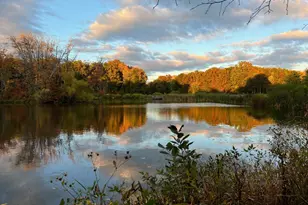 13132 Thornapple Pl, Herndon, VA 20171 - Photo 78