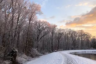 13132 Thornapple Pl, Herndon, VA 20171 - Photo 80