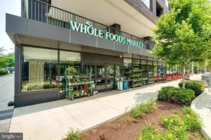 8340 Greensboro Dr, McLean, VA 22102 - Photo 40