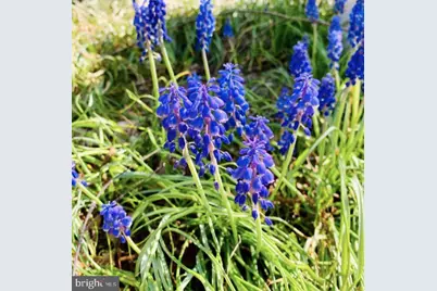 1580 Spring Gate Drive #4213, McLean, VA 22102 - Photo 30